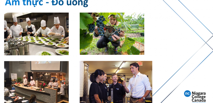 TRƯỜNG CAO ĐẲNG CÔNG LẬP NIAGARA COLLEGE