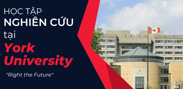 York University – Đại học giảng dạy và nghiên cứu hàng đầu thế giới